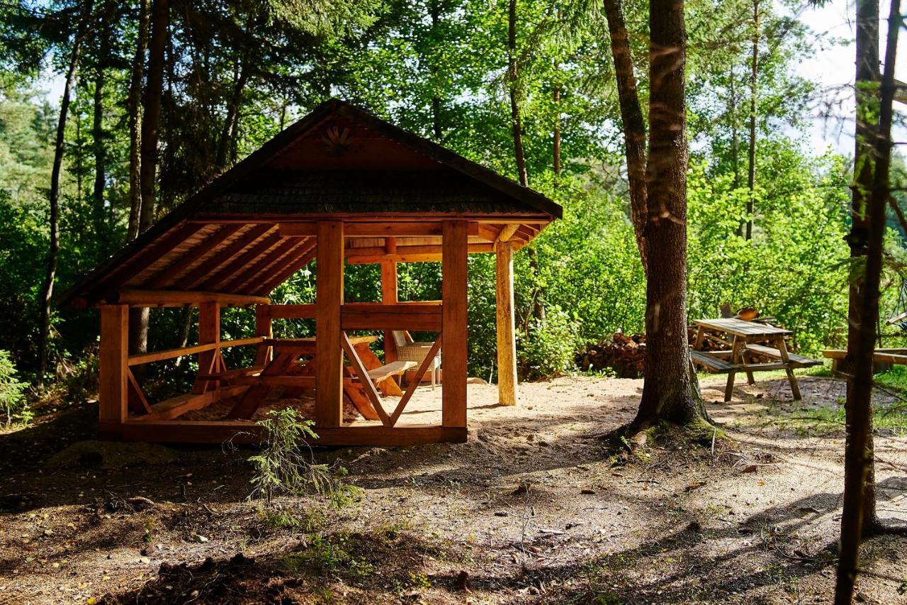 Borysowka Holiday home *